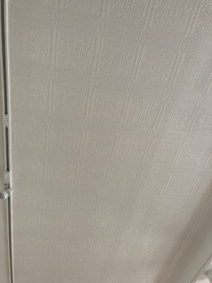 Celing Wallpaper for Codys of Capel Street, Furniture Shop and Art Gallery, Dublin by Abhaile Decorators, Ireland Celing Wallpaper for Codys of Capel Street, Furniture Shop and Art Gallery, Dublin by Abhaile Decorators, Ireland