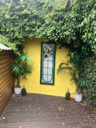Garden wall painted yellow - Quality external decoration by Abhaile Decorators, Ireland Garden wall painted yellow - Quality external decoration by Abhaile Decorators, Ireland
